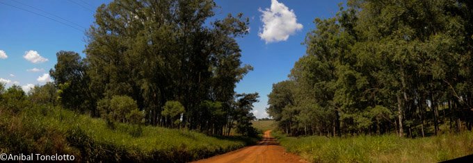 _DSC1664 Panorama.jpg